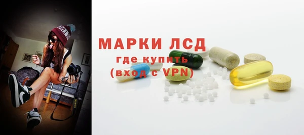 крисы Абаза