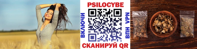 Псилоцибиновые грибы MAGIC MUSHROOMS  OMG сайт  Чухлома  закладки 